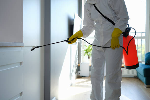 Water Damage Restoration in Luray, VA