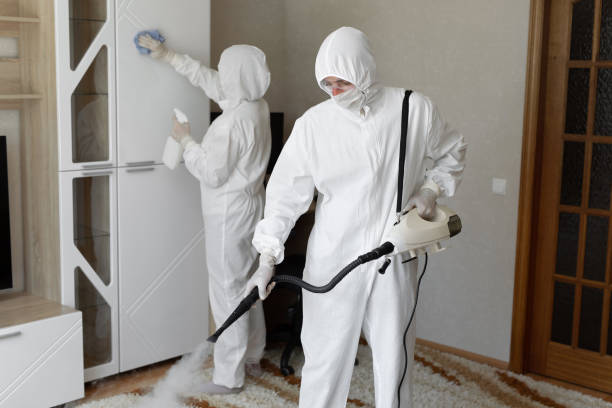 Best Residential Mold Removal  in Luray, VA